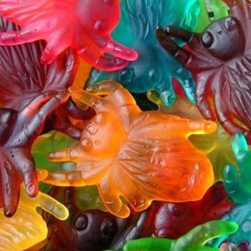 Bonbon Maxi Mygale gélifié XXL en forme d’araignée
