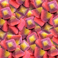Bonbon pyramide Damel gélifié fruité