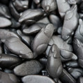 Bonbon souris anis gélifié goût anis à l’unité