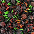 Bonbon tarentule Trolli gélifié forme araignée à l’unité